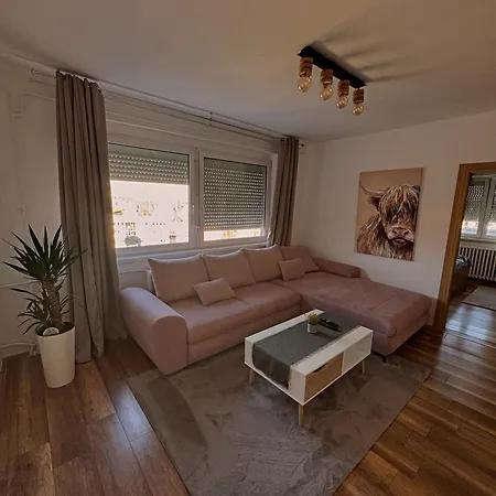 Panorama Liman Novi Sad